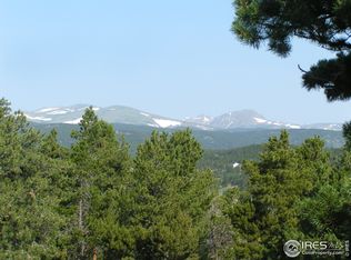239 Big Springs Dr, Nederland, CO 80466