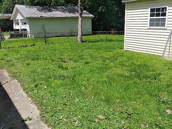 Part of Backyard View