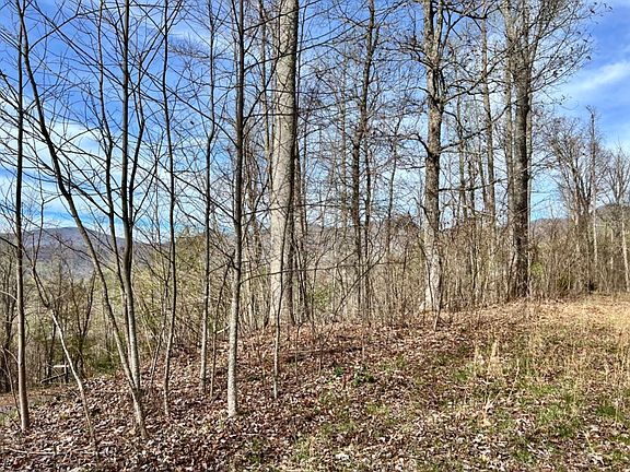 5th image of Lyle Mountain Trl Lot Wp035