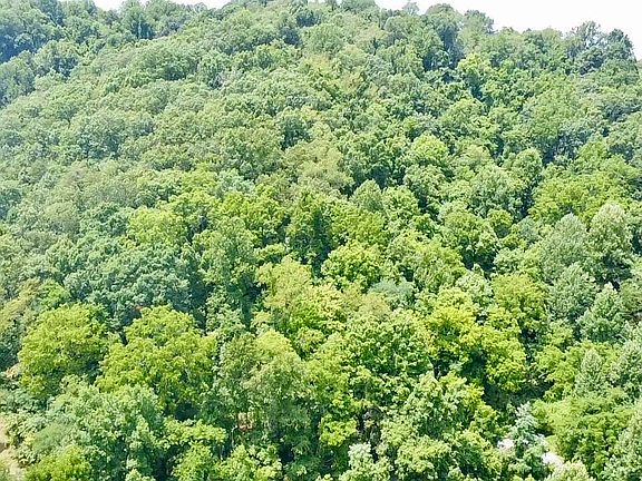 3rd image of Powell Mountain Rd