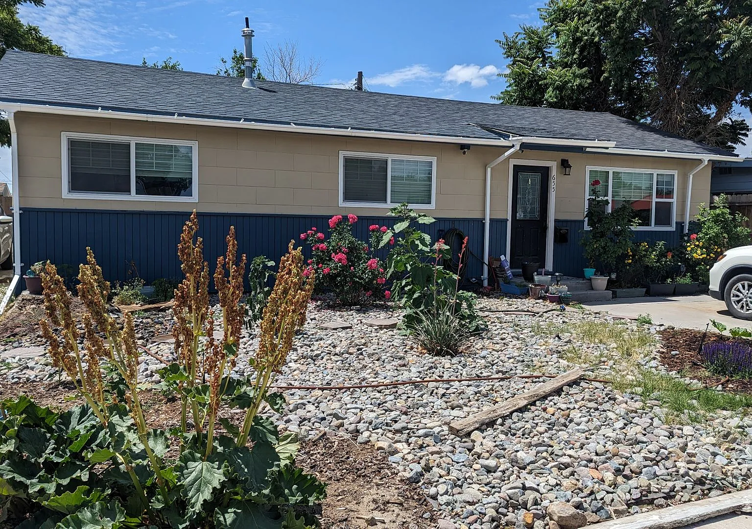 3 Bedroom, 2 bath home in Fallon available soon! — Photo 1