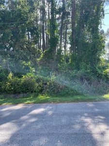 71 LAKE SUCCESS DRIVE LOT 5, Palm Coast, FL, 32137