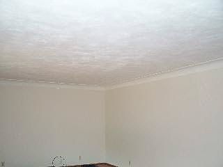 4th image of 9125 Clover Dr