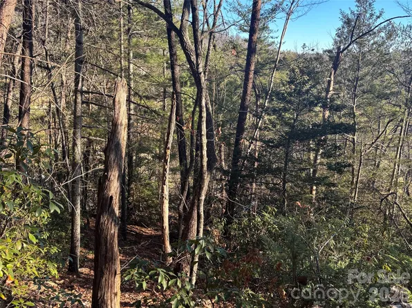 LOT 20 Nicklaus Ln Lot 20, Lake Lure, NC 28746