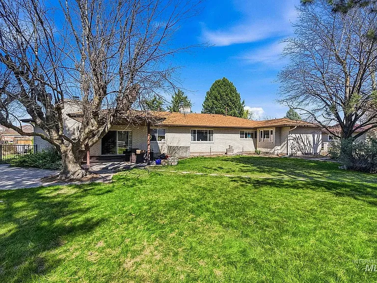Backyard with mature trees.