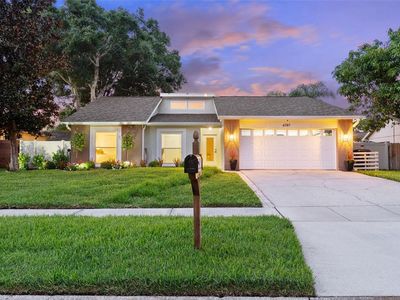4707 Cresson Ct, Tampa, FL, 33624