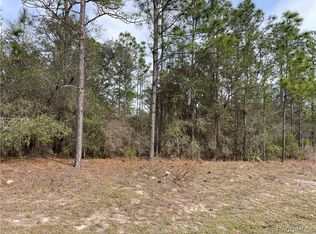 3311 W Crandon Dr, Citrus Springs, FL 34433