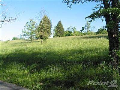 Road right boundary looking left