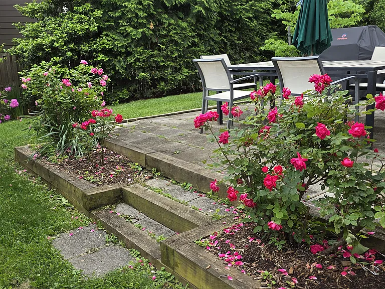 Back yard / stone patio