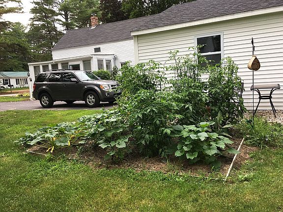 Great space for a garden!