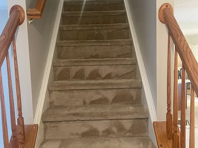 9035 Mullen Rd — Photo 22