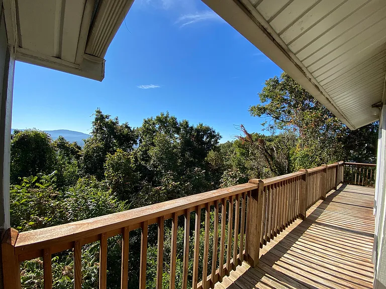 Summer views