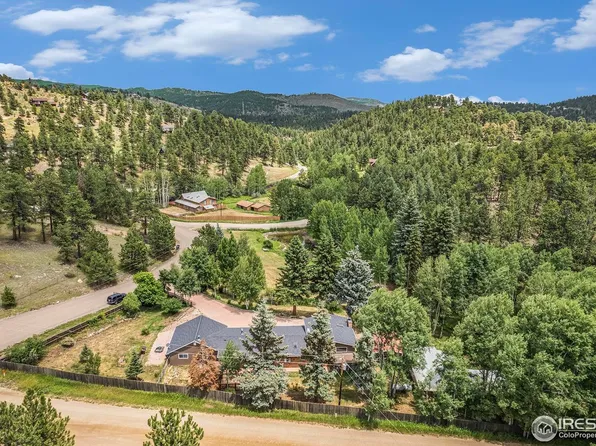 90 Chickadee Dr, Bailey, CO 80421