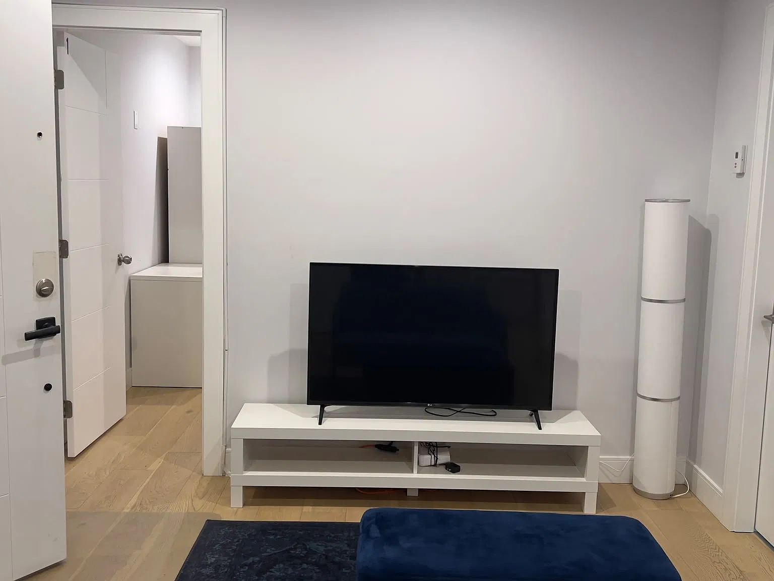 3 bed, 950 sqft, $3,500 — Photo 3
