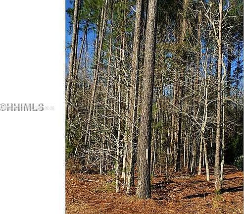 2nd image of 27 Palmetto Cove Ct