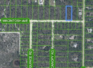 2014 Macintosh Ave, Sebring, FL 33875
