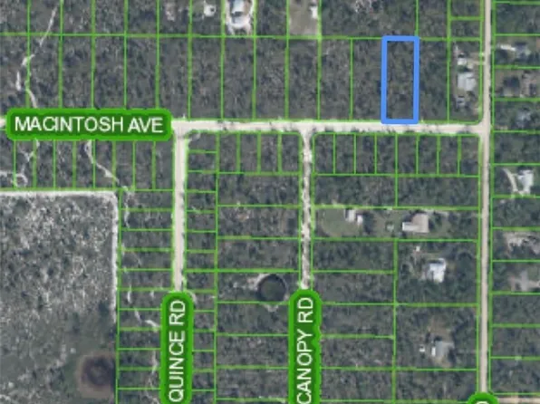 2014 Macintosh Ave, Sebring, FL 33875