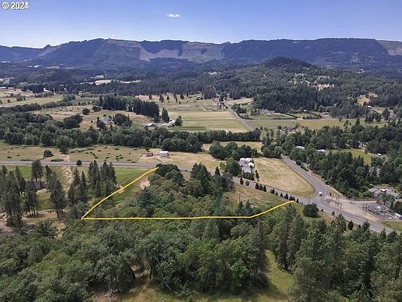 2nd image of 400 Sword Fern Ln