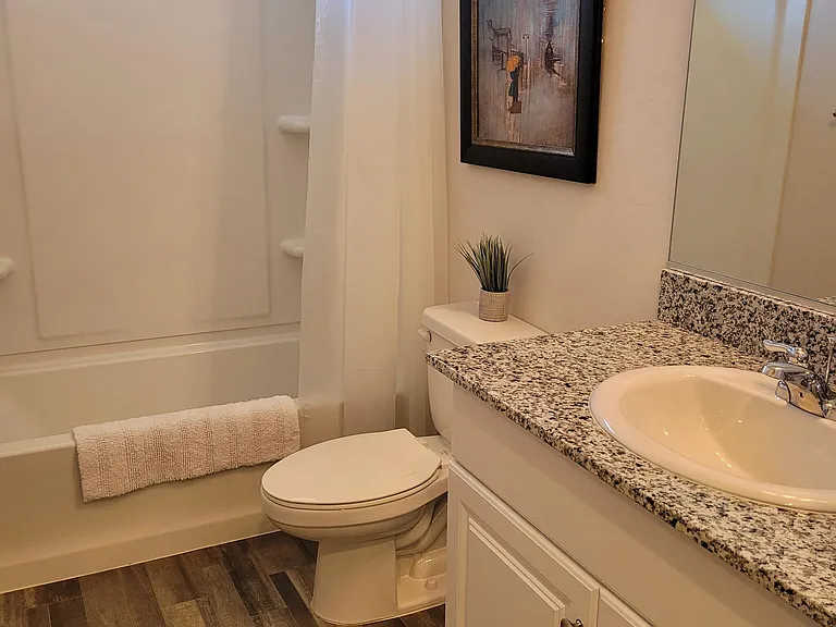 Guest bathroom