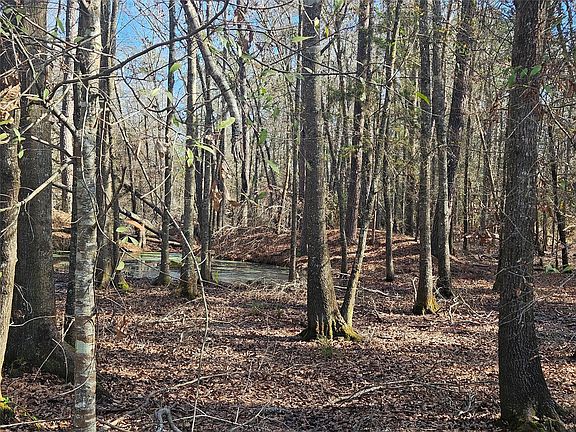 3rd image of 0 Red Rd Lot 10