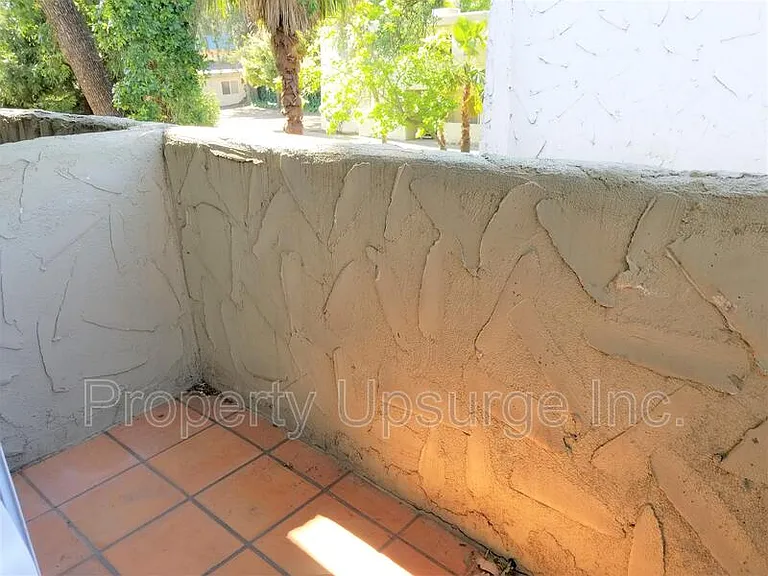 The Palms — Photo 14