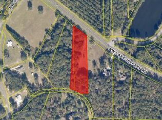 163 NW Pioneer Ct, Lake City, FL 32055