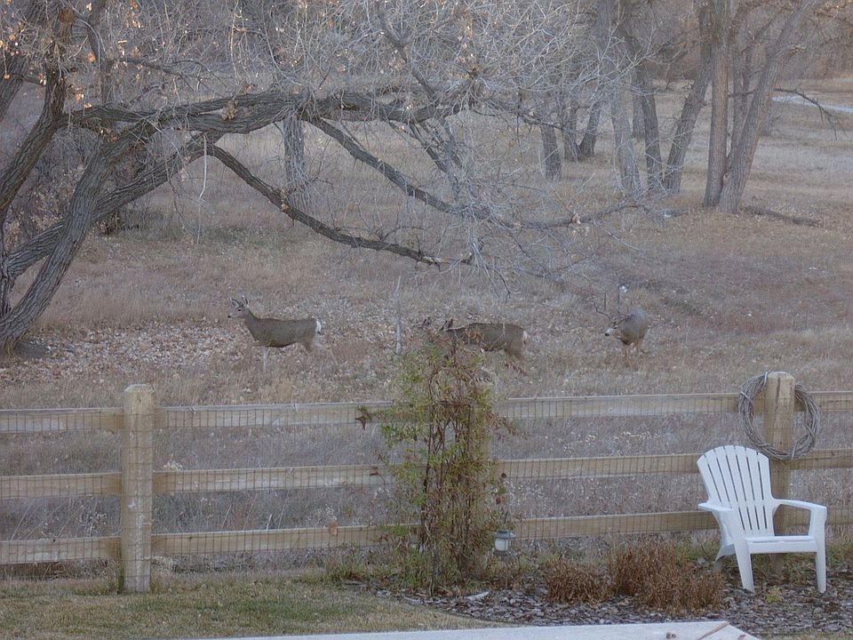 view from rear deck
