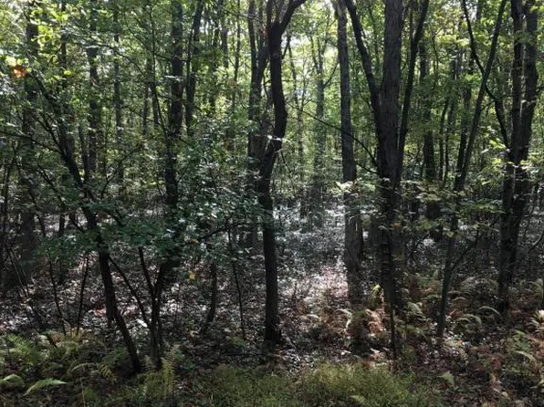 31 Piney Woods Dr, Jim Thorpe, PA 18229