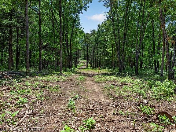 3rd image of TRACT 1 Little Bear Trl