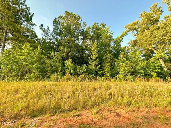 140 Grace Hope Dr Lot 16, Brooks, GA 30205