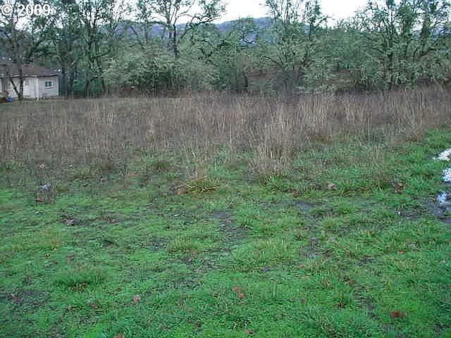 2nd image of W Lookingglass Rd