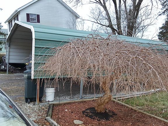 5th image of 2105 S Jefferson St