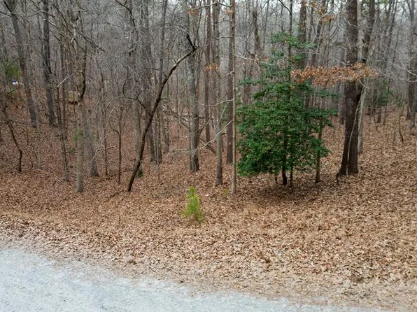 57 Acacia Ct, Ellijay, GA 30540