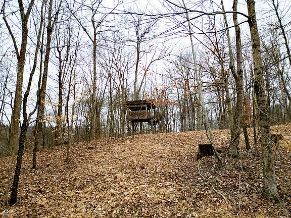 4th image of 10051 W State Road 58