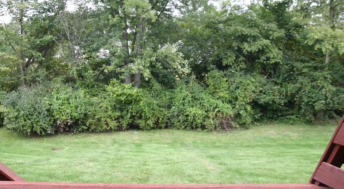 3 bed, 2.5 bath, 1650 sqft, $2,150 — Photo 4
