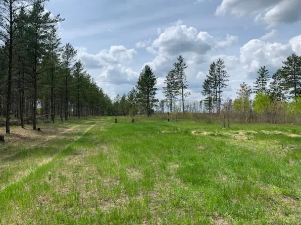 Cottingham Dr, Staples, MN 56479