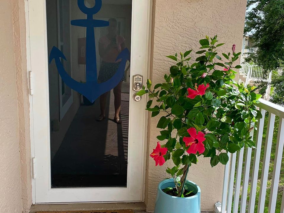Welcome to Tortuga del Mar