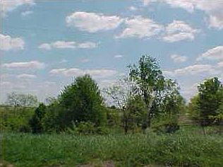 5th image of 6 McClain Heights Dr