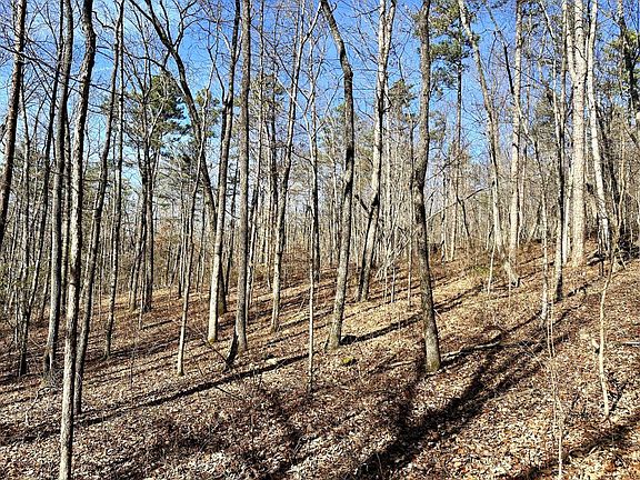 3rd image of 0 Hobbstown Rd