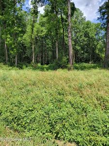 Lot B Tyree Road, Kinston, NC, 28504