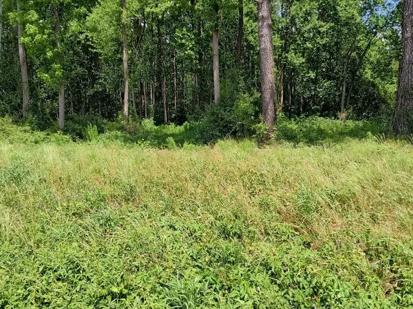 Lot B Tyree Road, Kinston, NC 28504