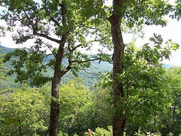 5th image of 0 Mountain Meadow Cir