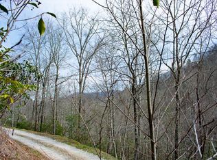 C9c10 Briggs Cove Rd, Robbinsville, NC 28771