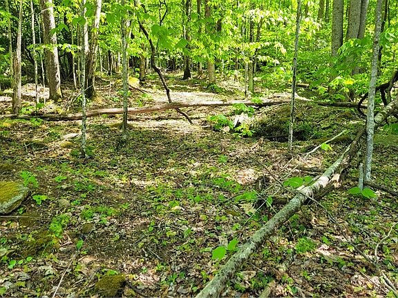 2nd image of TBD Buckeye Ridge Road
