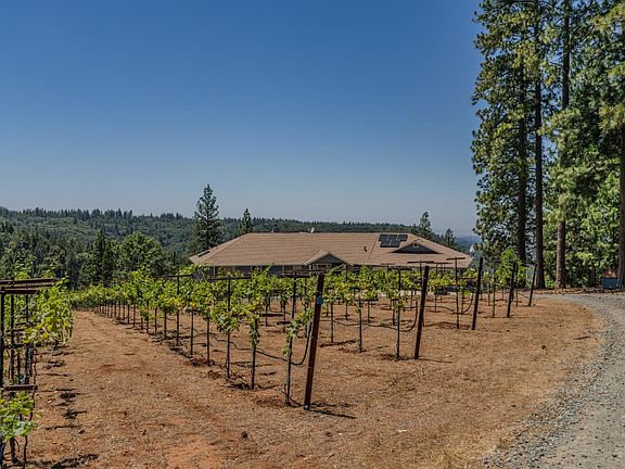 5th image of 18591 Ponderosa Hills Rd