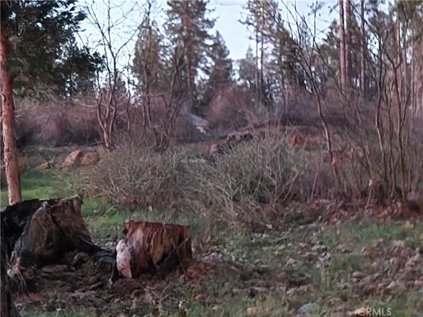 14302 Skyway #343, Magalia, CA 95954