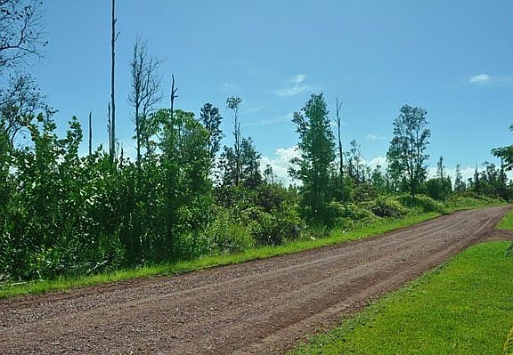 4th image of 1st Ave
