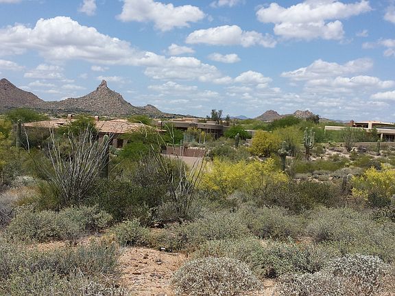 SW View -backyard