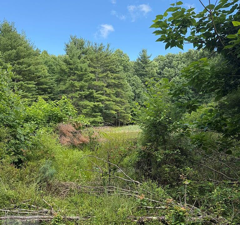 1st image of 0 Cornbread Ridge Rd