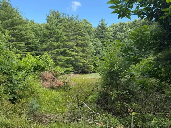 0 Cornbread Ridge Rd, Princeton, WV 24740